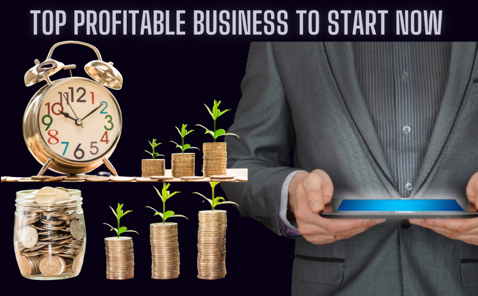 Top Profitable Business To Start