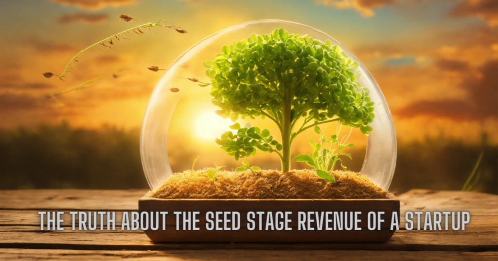 Seed Stage Revenue