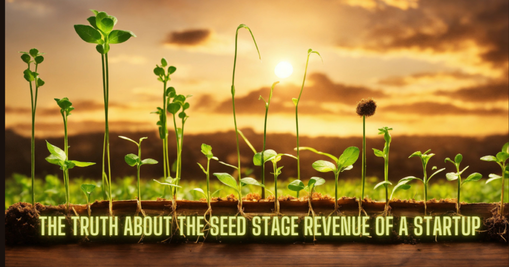 Seed Stage Revenue