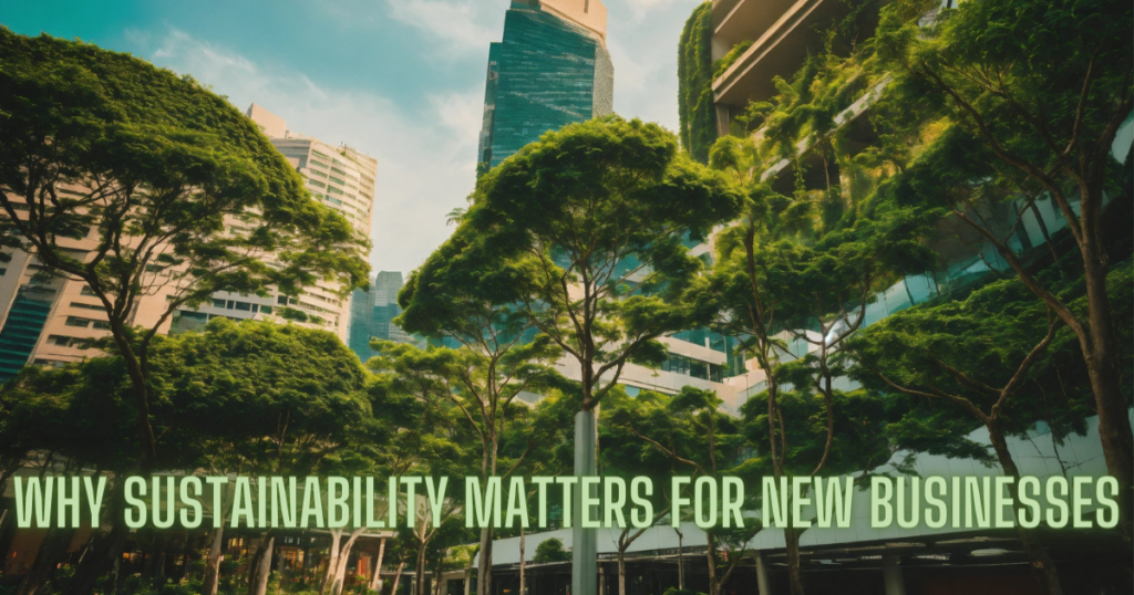 Sustainability for New Business: Know How Important it?